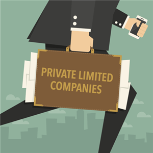About Private Limited Company